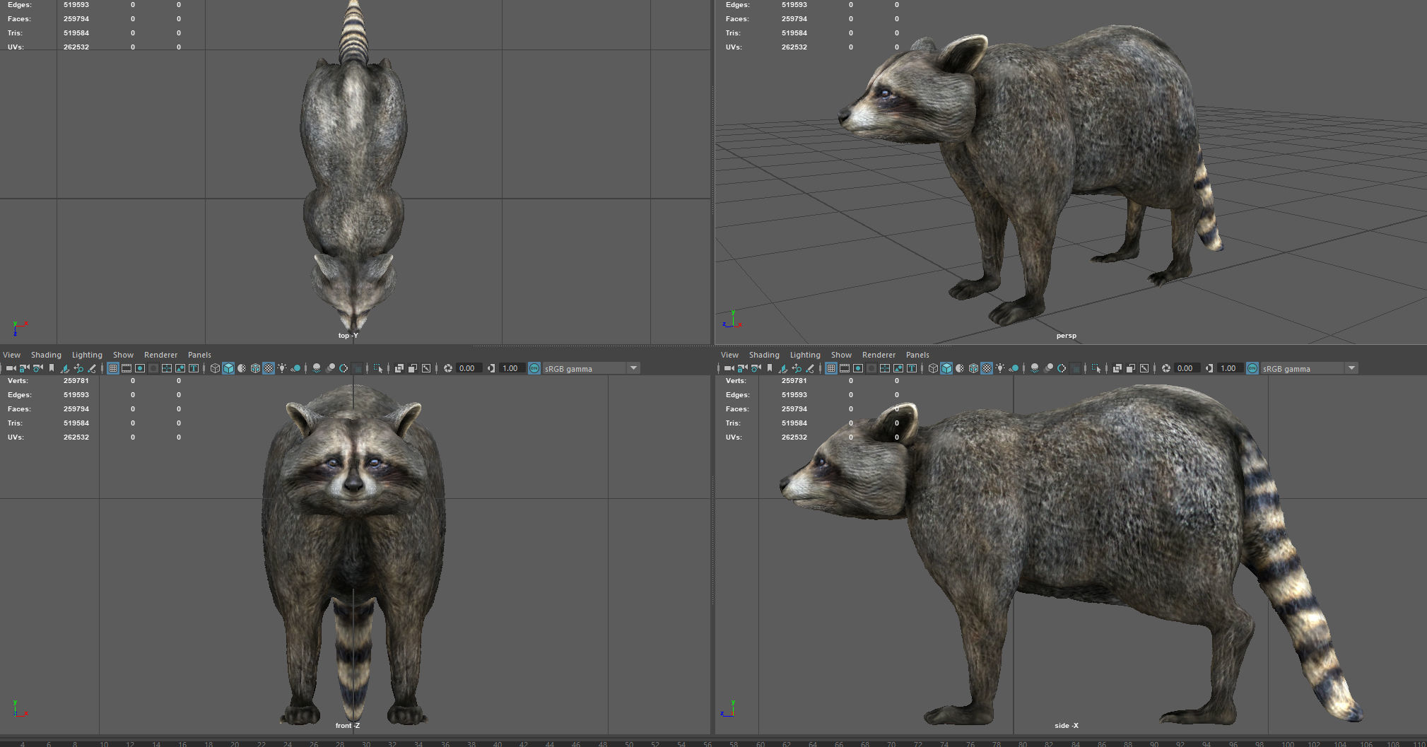 RACCOON Low-poly 3D model_6