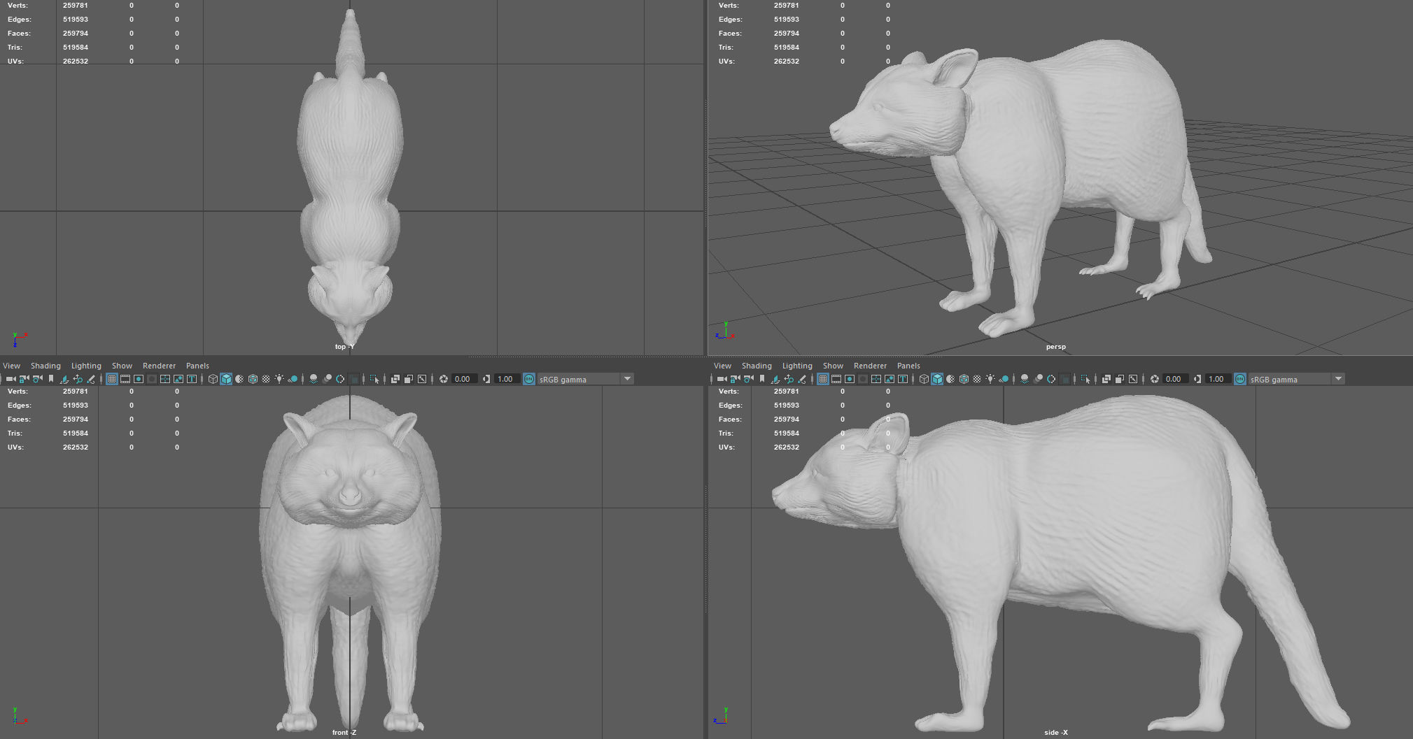 RACCOON Low-poly 3D model_7