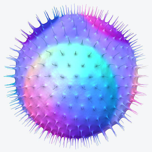Virus 3D Model coronavirus 3D model