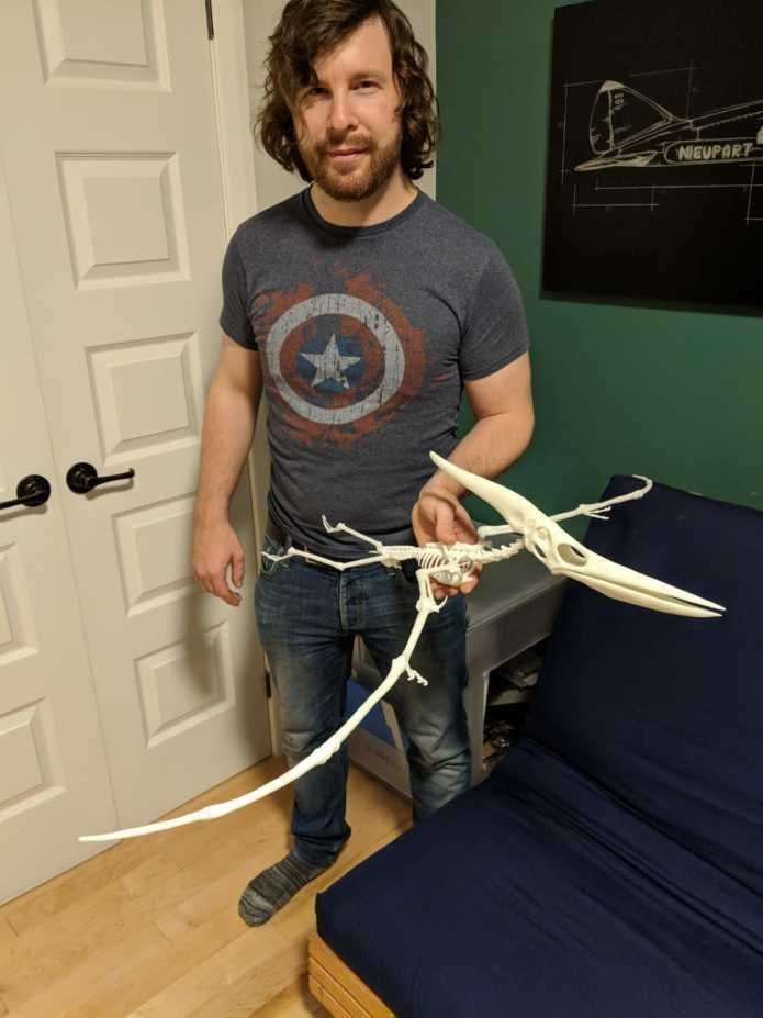 Pteranodon Skull 3D print model_1