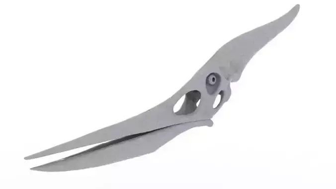 Pteranodon Skull 3D print model