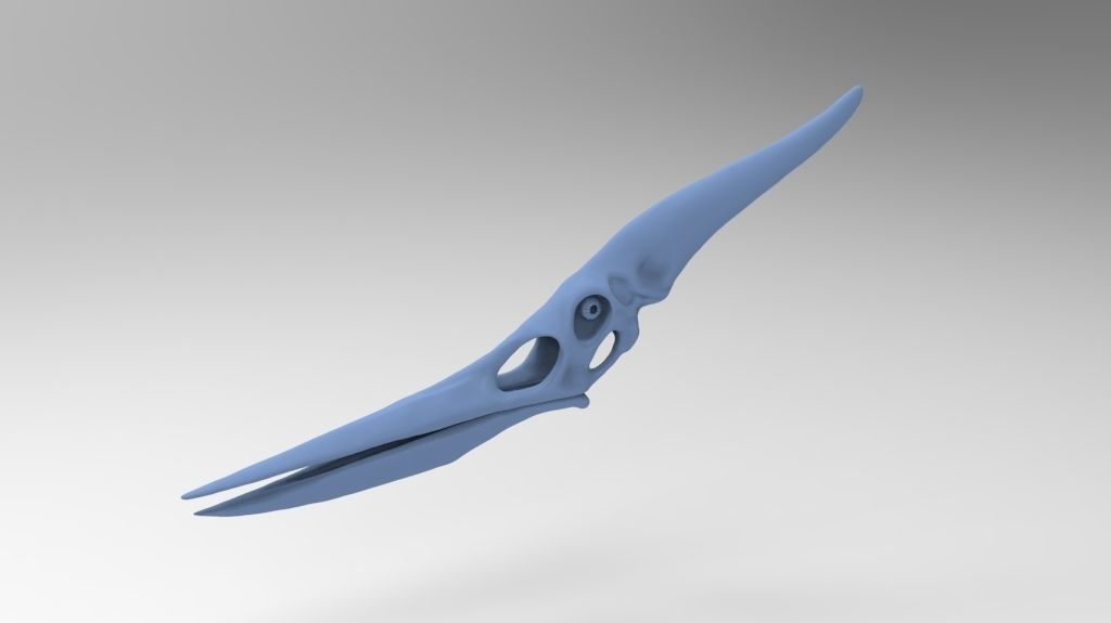 Pteranodon Skull 3D print model_3