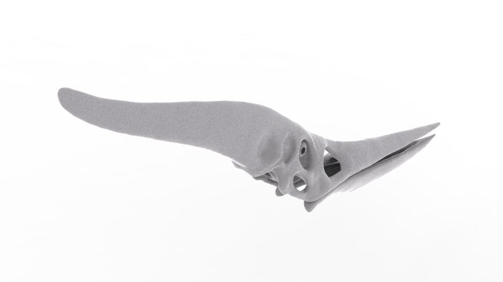 Pteranodon Skull 3D print model_2