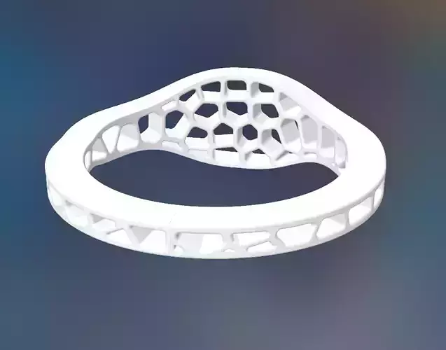 1st Voronoi Ring attempt