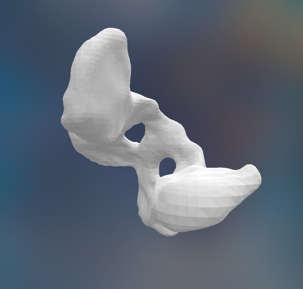 Dog Pelvis 3D print model_3