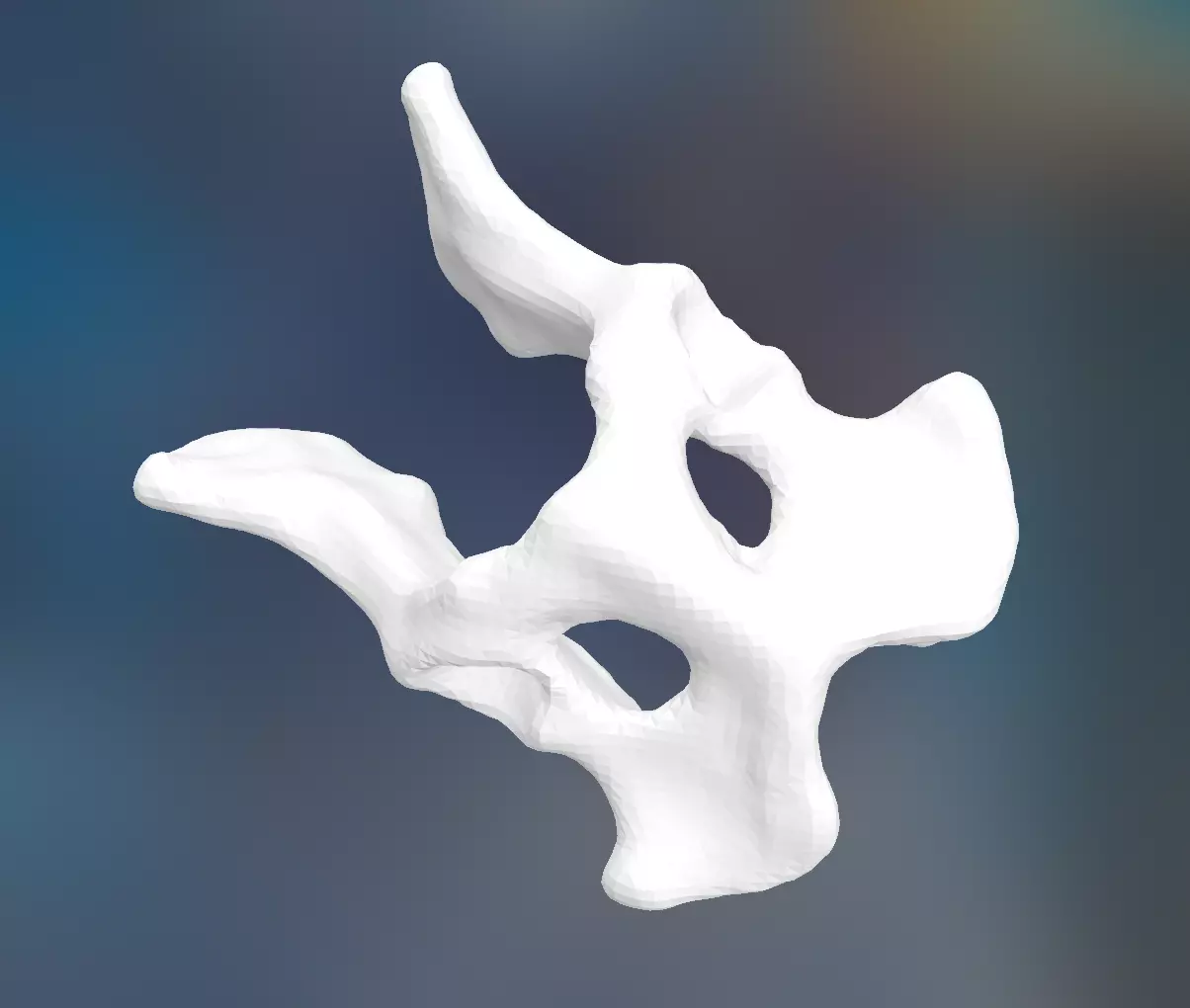 Dog Pelvis 3D print model_0