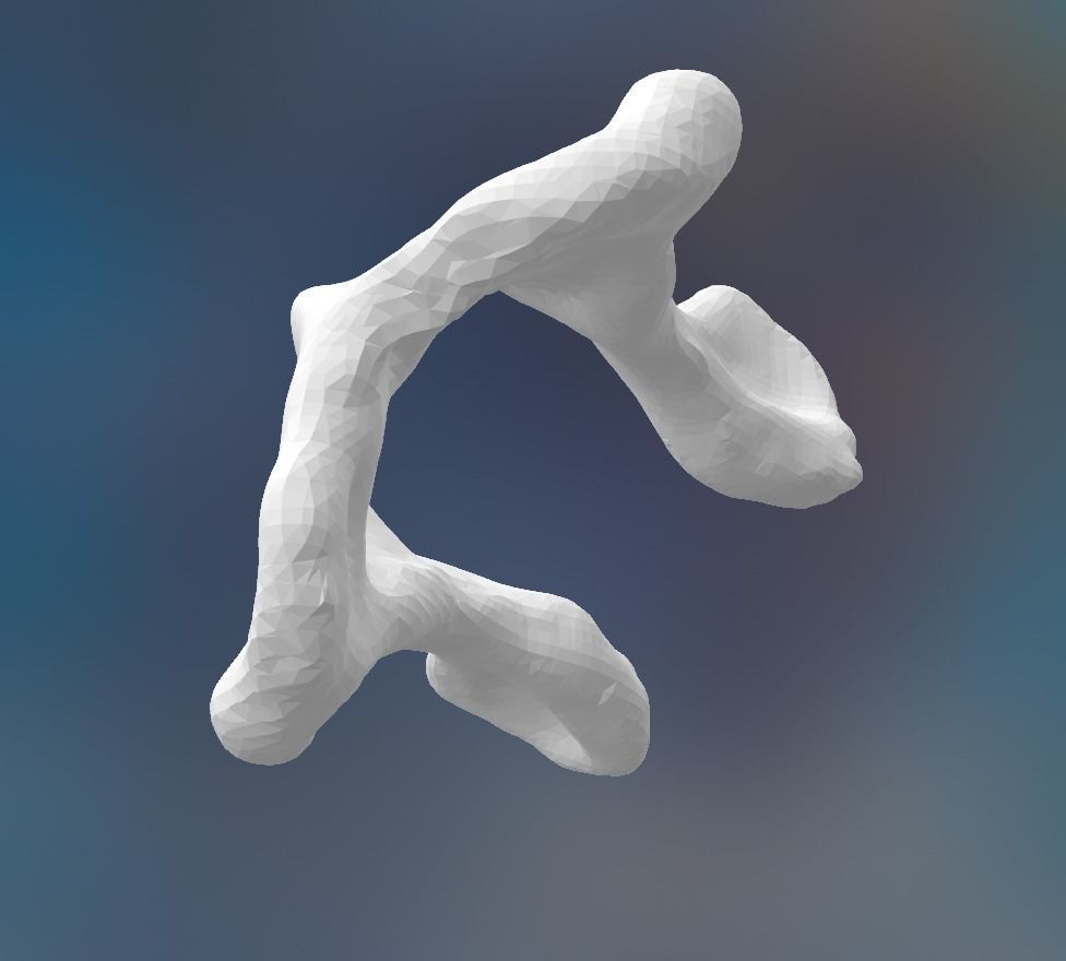 Dog Pelvis 3D print model_2