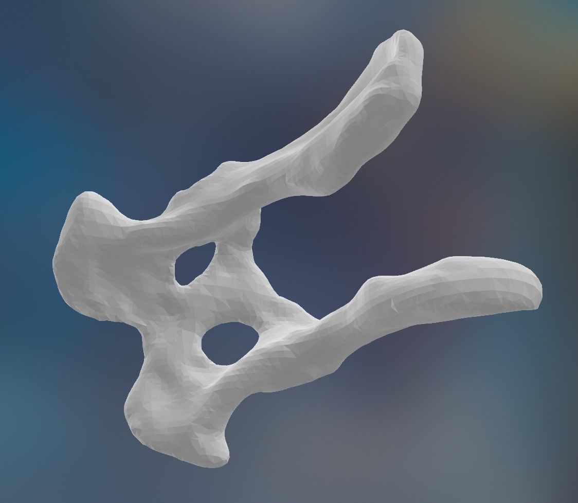 Dog Pelvis 3D print model_1