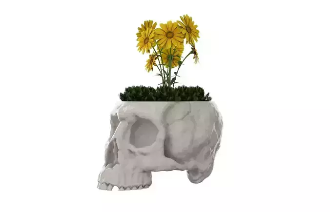 Skull Vase 