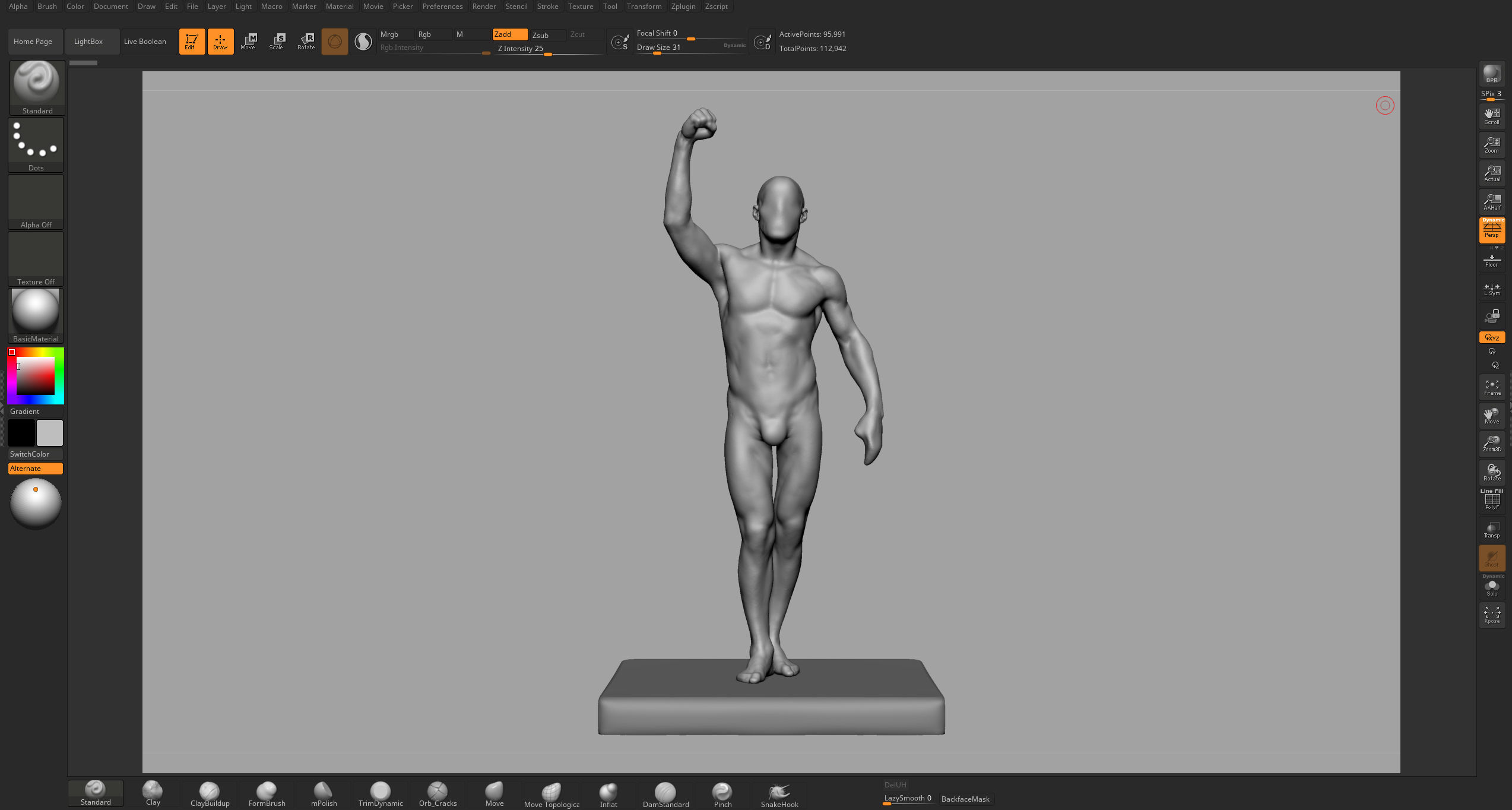 Male Anatomy Body Parts 3D Model Collection_36