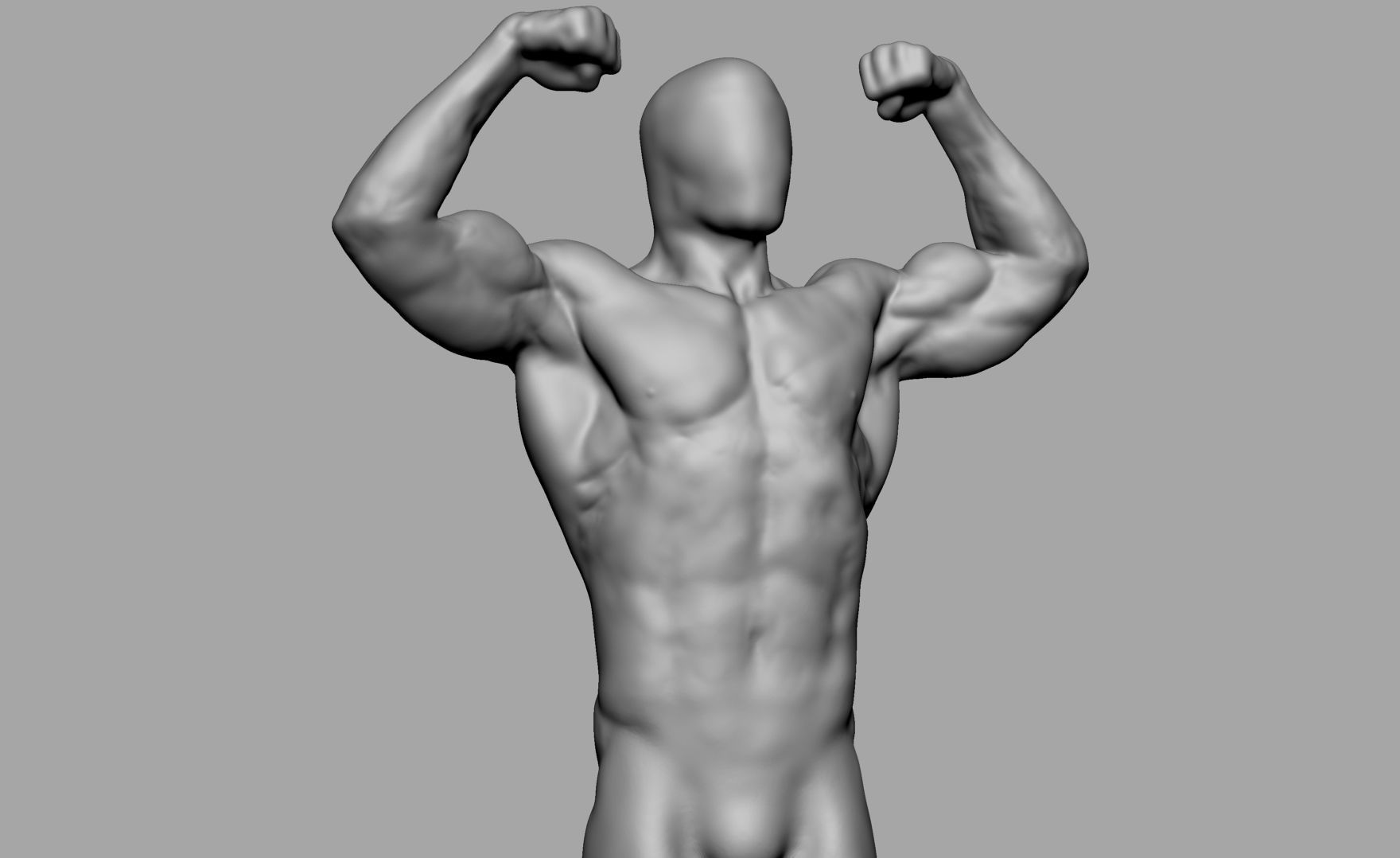 Male Anatomy Body Parts 3D Model Collection_29