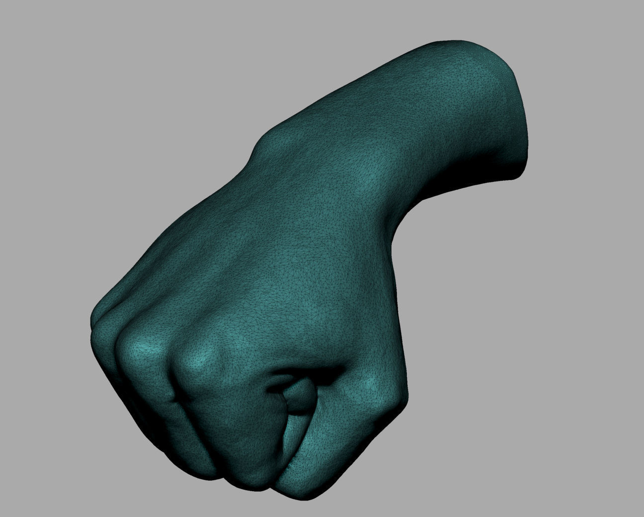 Male Anatomy Body Parts 3D Model Collection_14