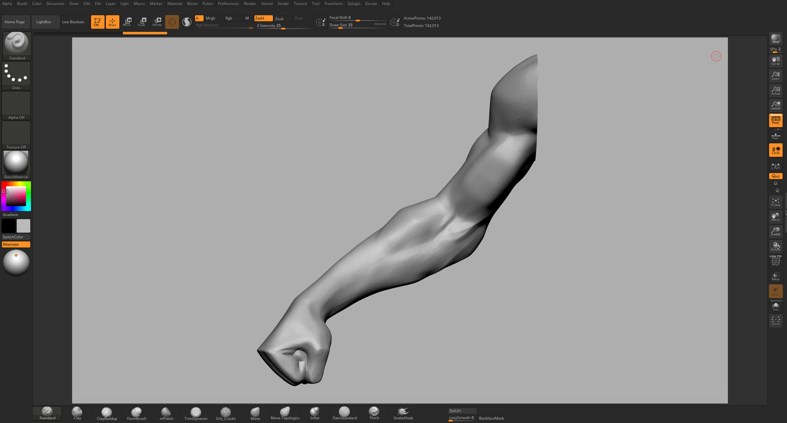 Male Anatomy Body Parts 3D Model Collection_62