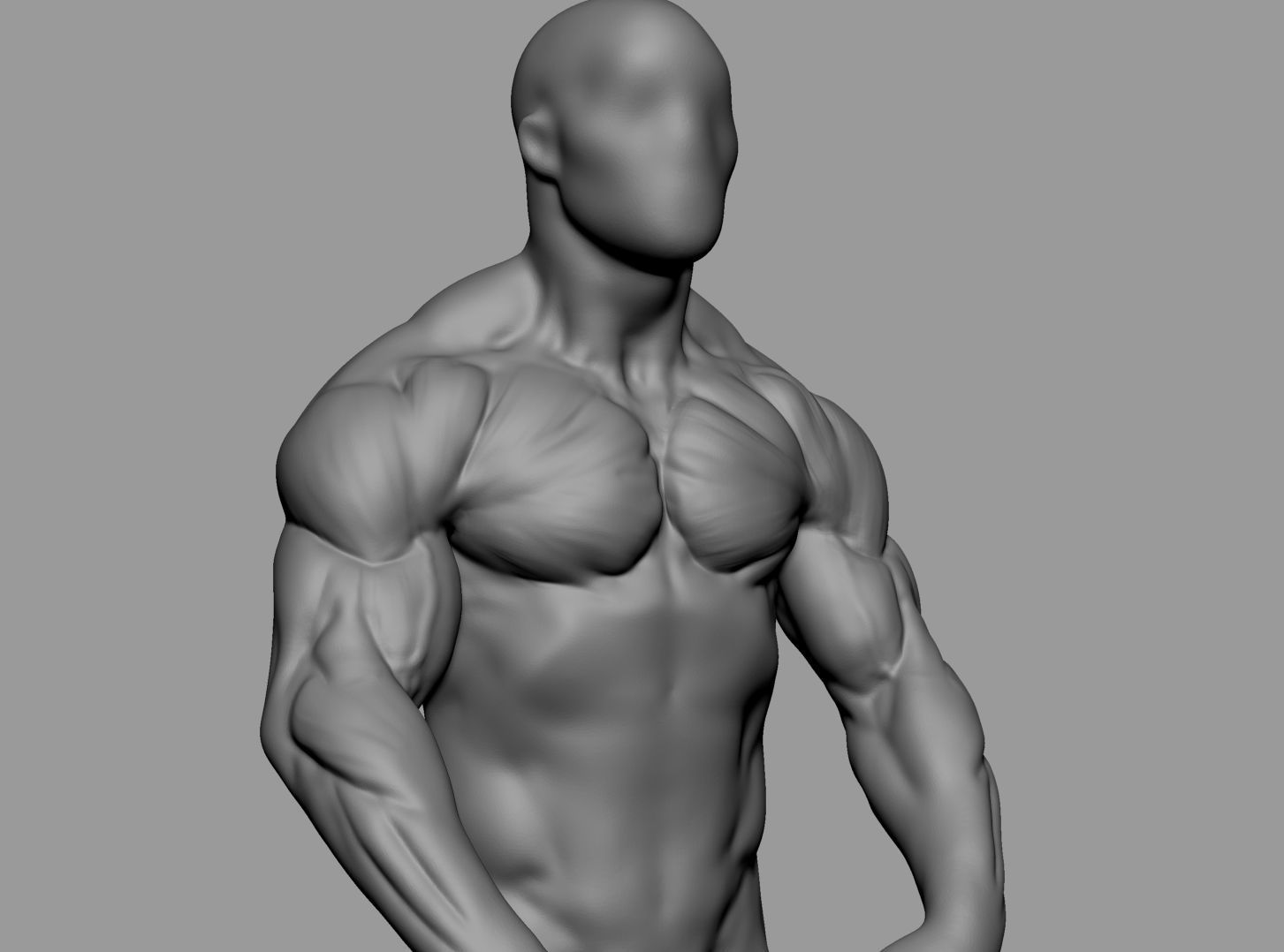 Male Anatomy Body Parts 3D Model Collection_40