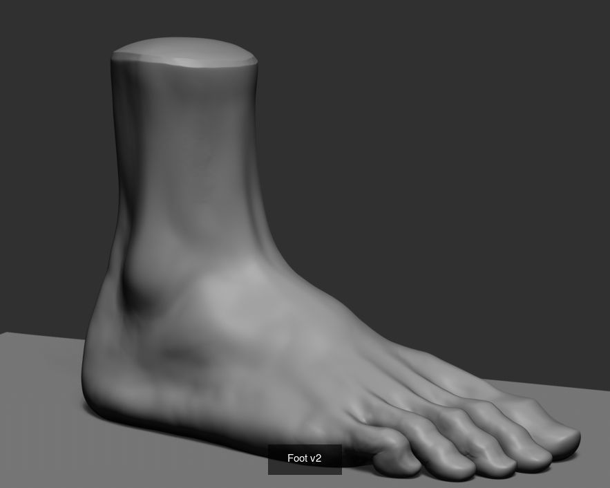 Male Anatomy Body Parts 3D Model Collection_1