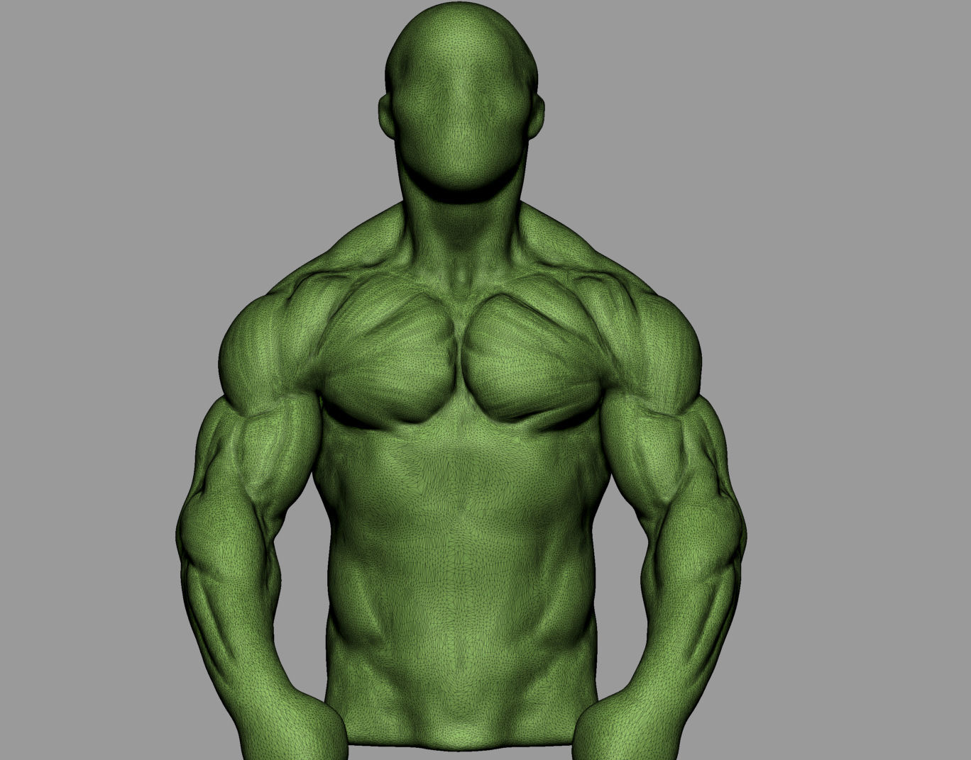 Male Anatomy Body Parts 3D Model Collection_45