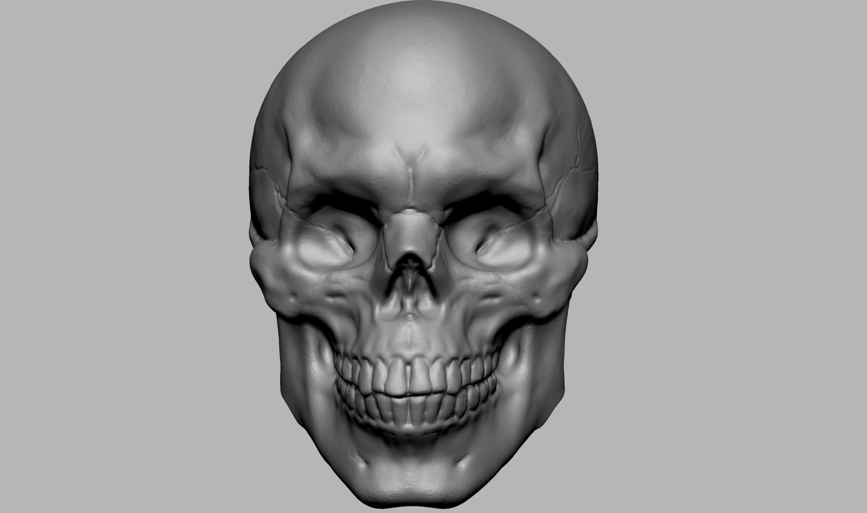 Male Anatomy Body Parts 3D Model Collection_54