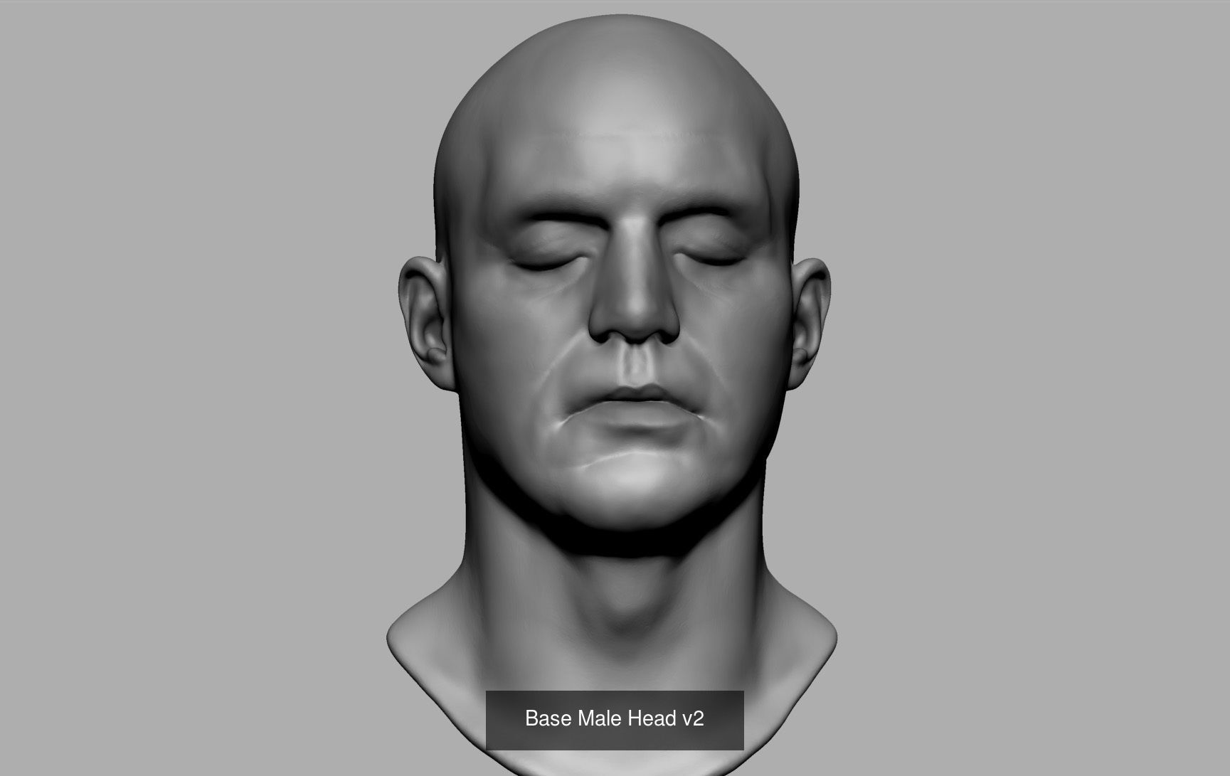 Male Anatomy Body Parts 3D Model Collection_5