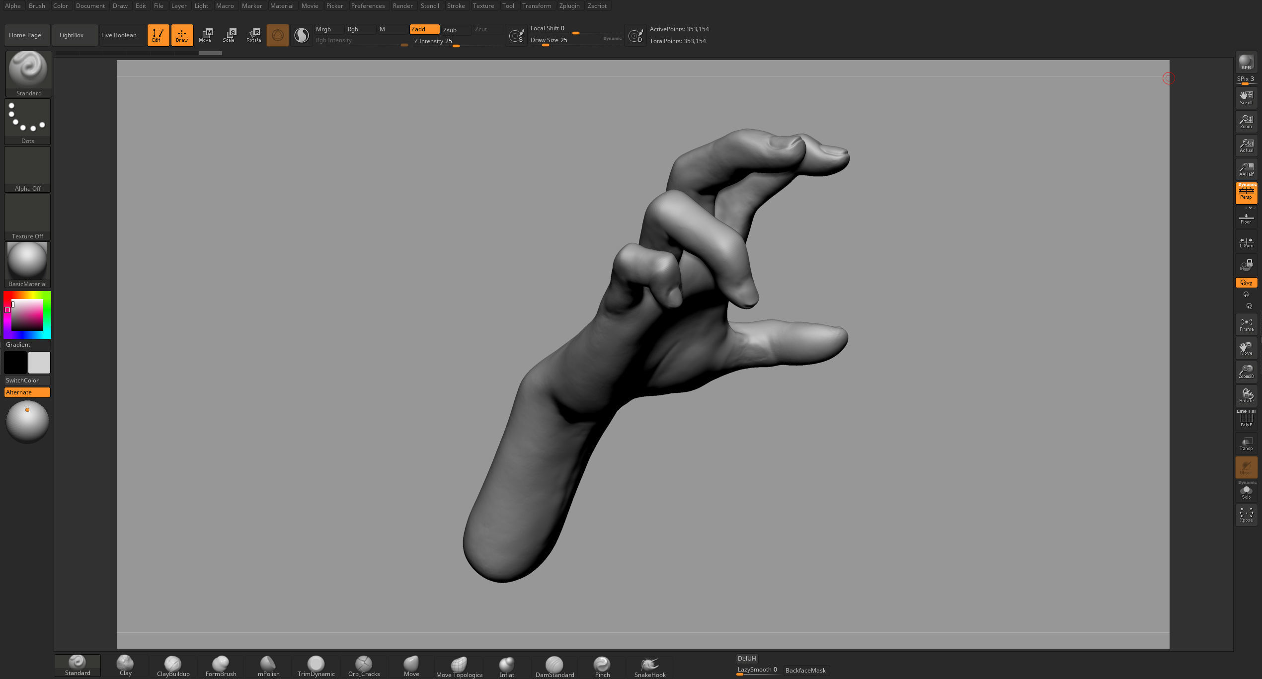 Male Anatomy Body Parts 3D Model Collection_20