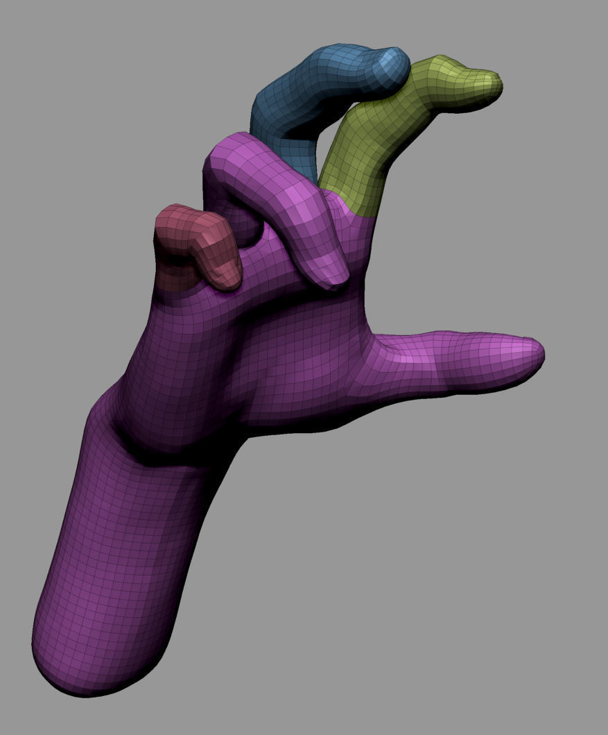 Male Anatomy Body Parts 3D Model Collection_19