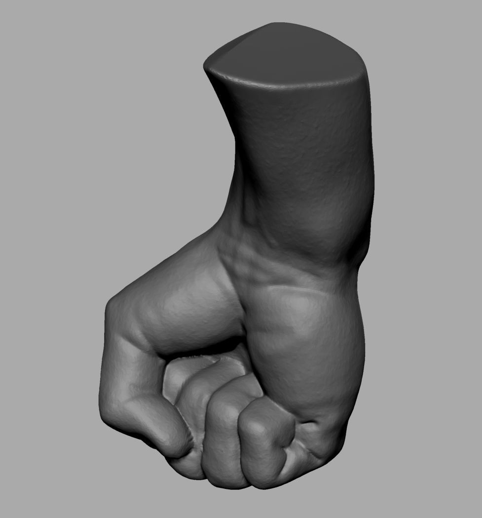 Male Anatomy Body Parts 3D Model Collection_12