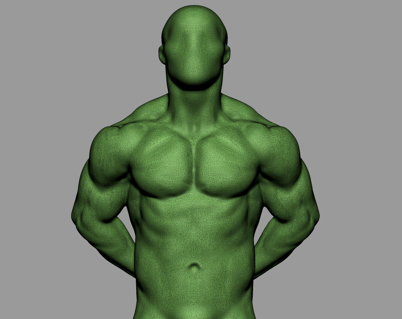 Male Anatomy Body Parts 3D Model Collection_42