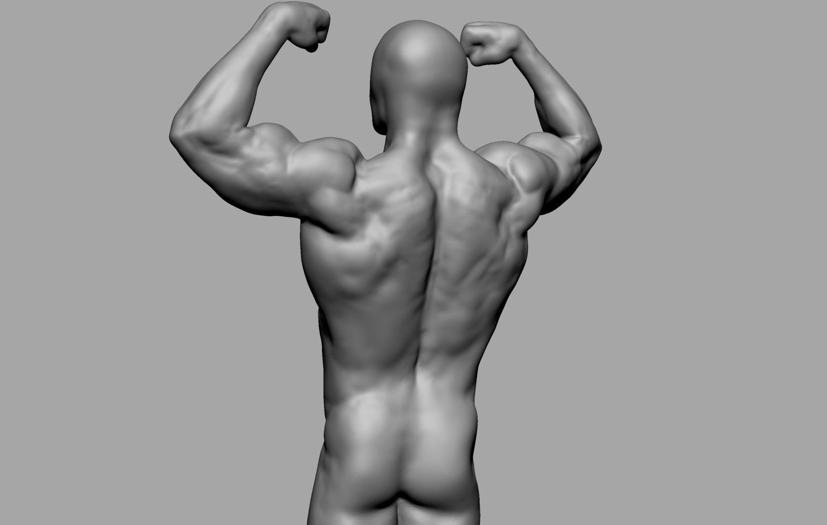 Male Anatomy Body Parts 3D Model Collection_30