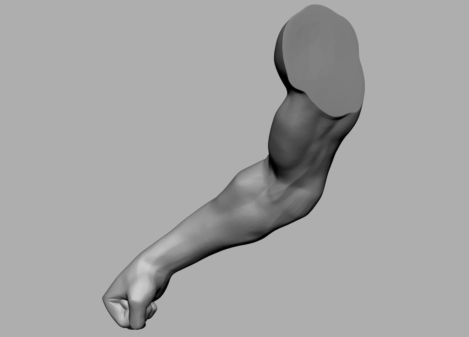 Male Anatomy Body Parts 3D Model Collection_63