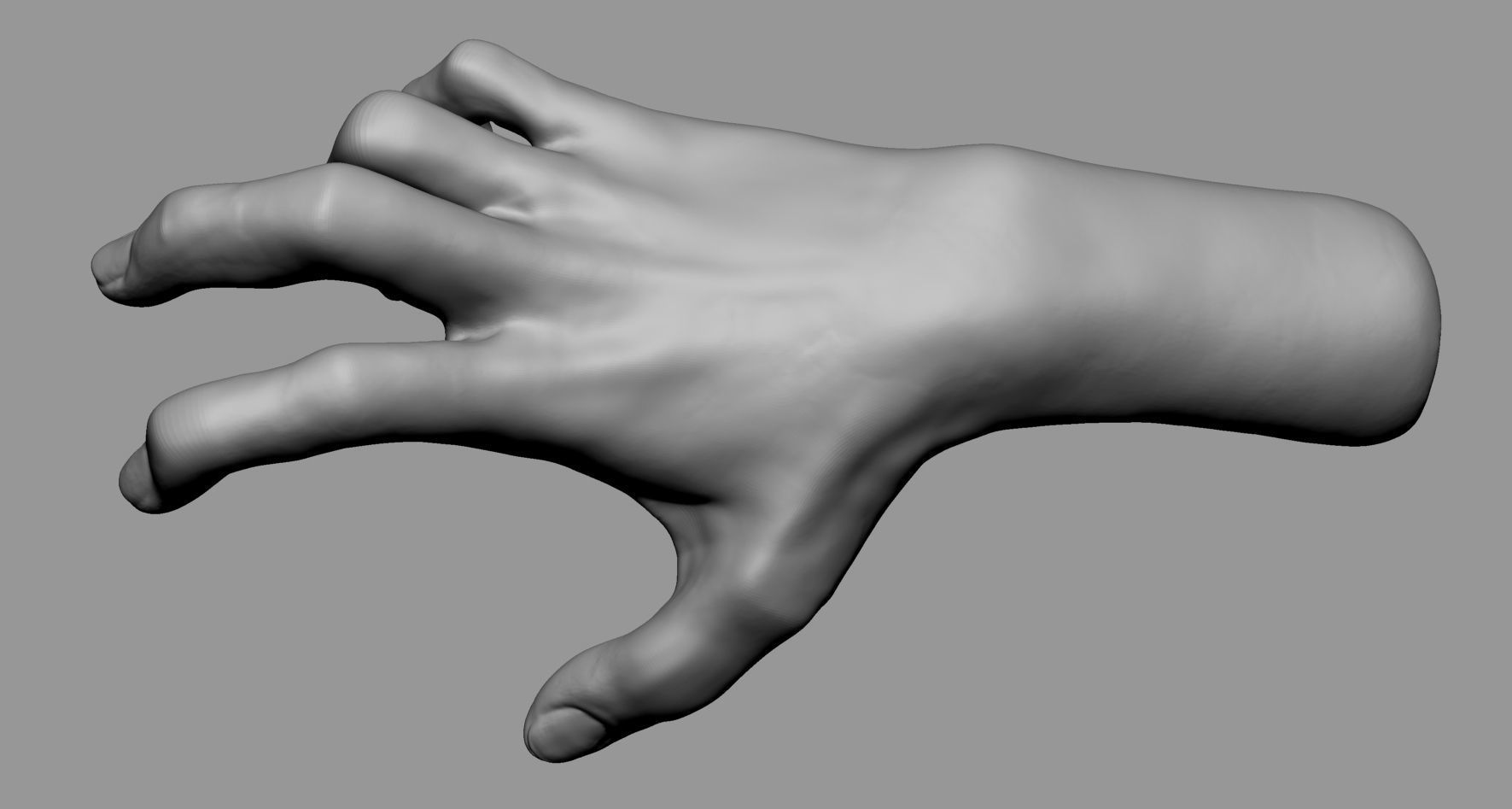 Male Anatomy Body Parts 3D Model Collection_18