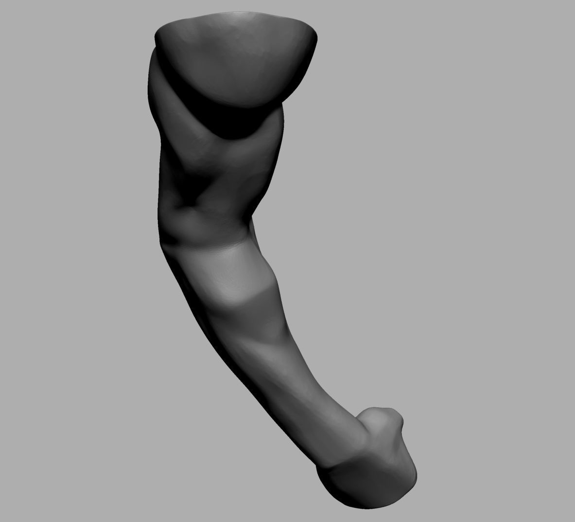 Male Anatomy Body Parts 3D Model Collection_58