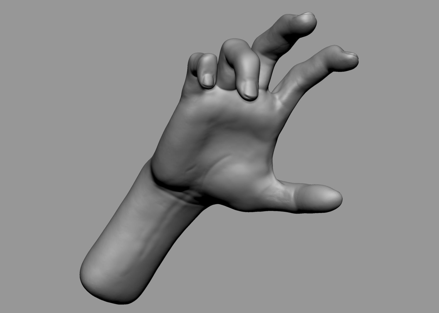 Male Anatomy Body Parts 3D Model Collection_17