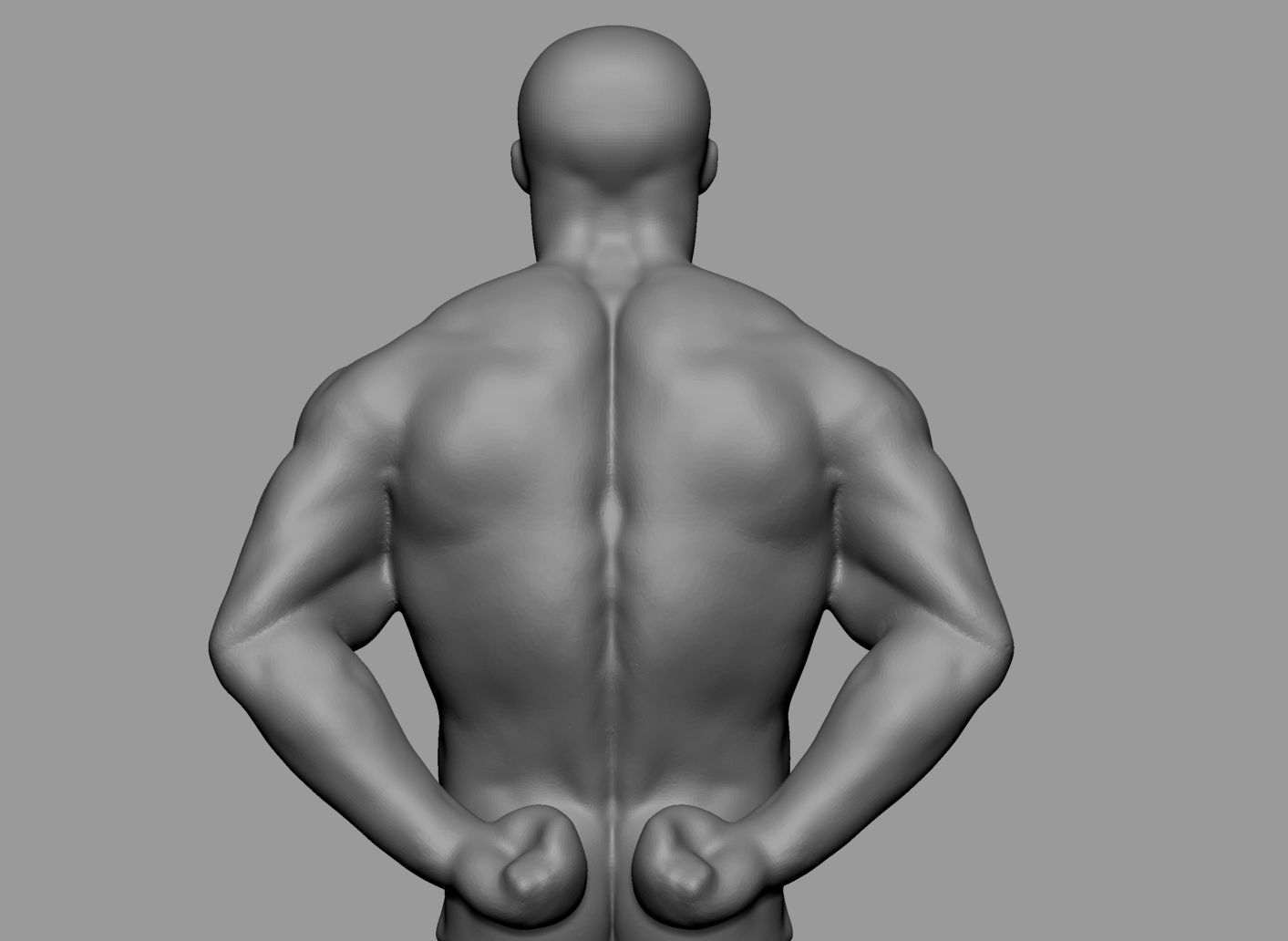 Male Anatomy Body Parts 3D Model Collection_39
