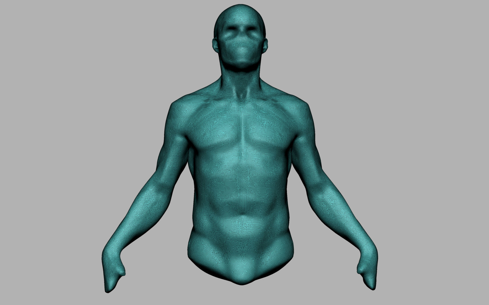 Male Anatomy Body Parts 3D Model Collection_51