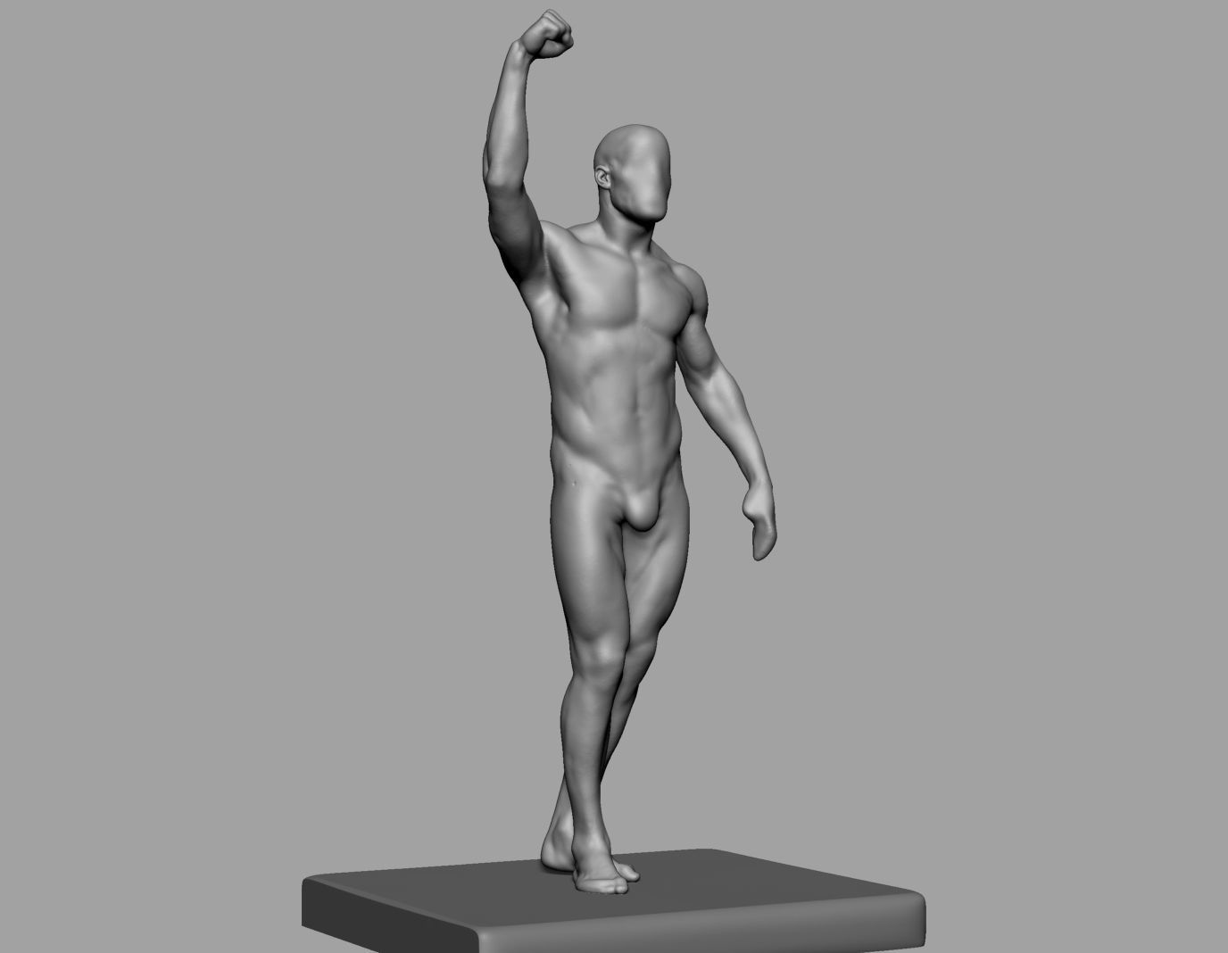 Male Anatomy Body Parts 3D Model Collection_33