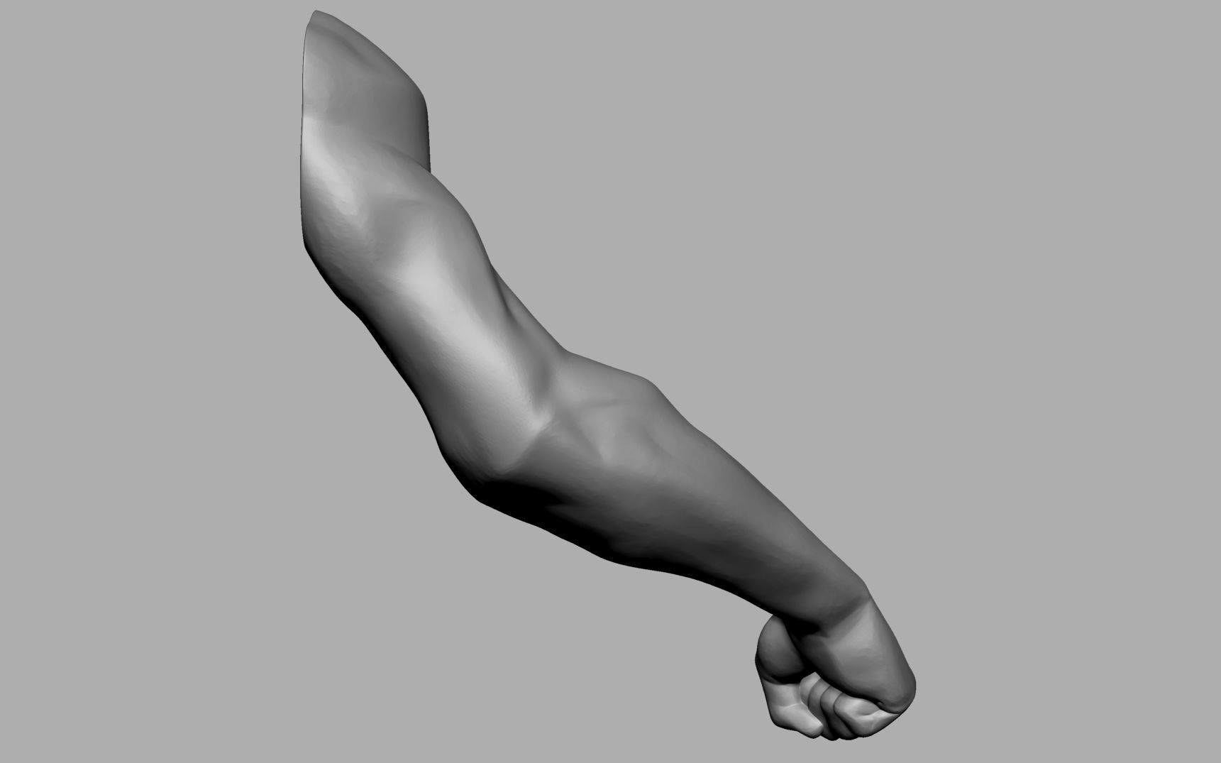 Male Anatomy Body Parts 3D Model Collection_60