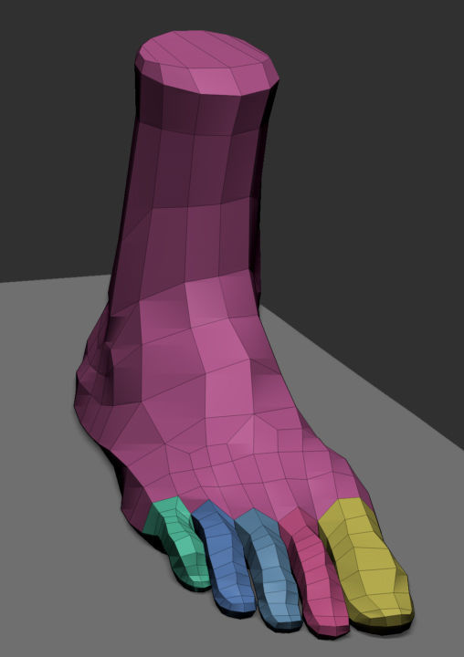 Male Anatomy Body Parts 3D Model Collection_8