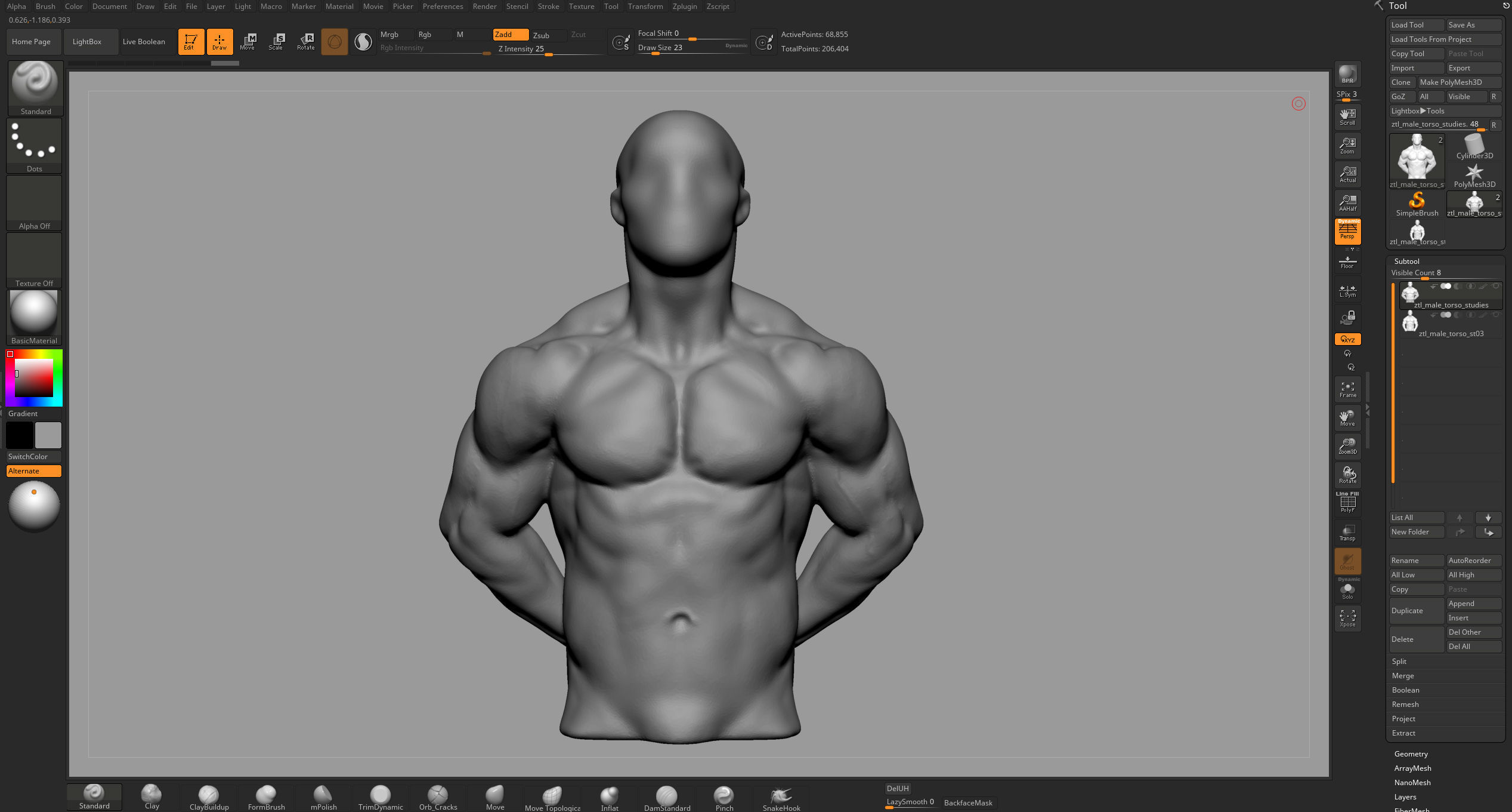 Male Anatomy Body Parts 3D Model Collection_44