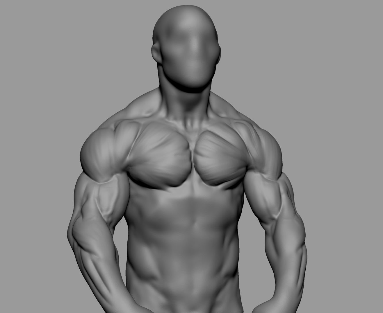 Male Anatomy Body Parts 3D Model Collection_43
