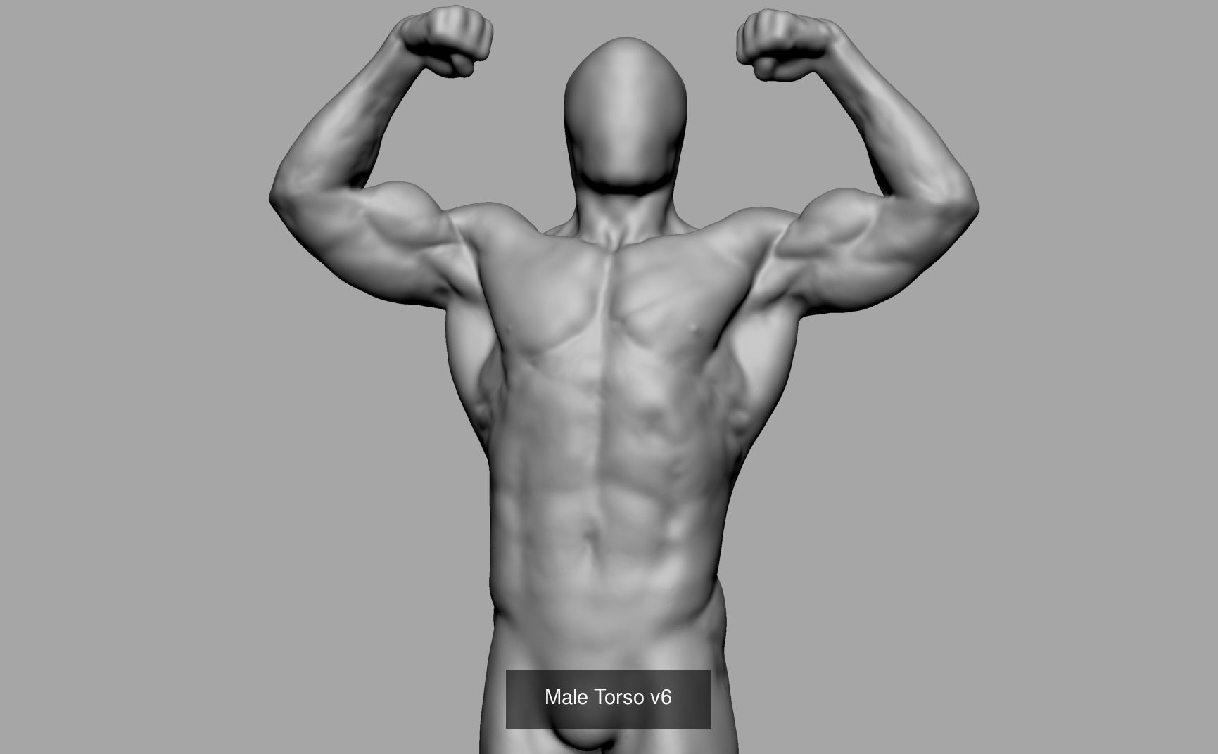 Male Anatomy Body Parts 3D Model Collection_4