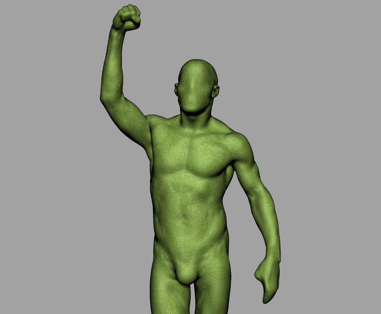 Male Anatomy Body Parts 3D Model Collection_35