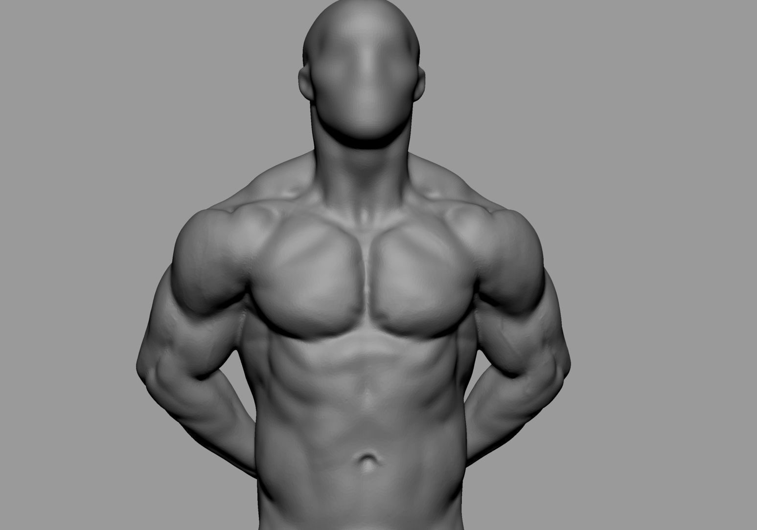 Male Anatomy Body Parts 3D Model Collection_37