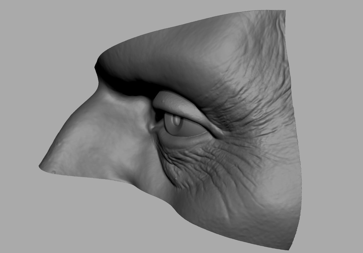 Male Anatomy Body Parts 3D Model Collection_15