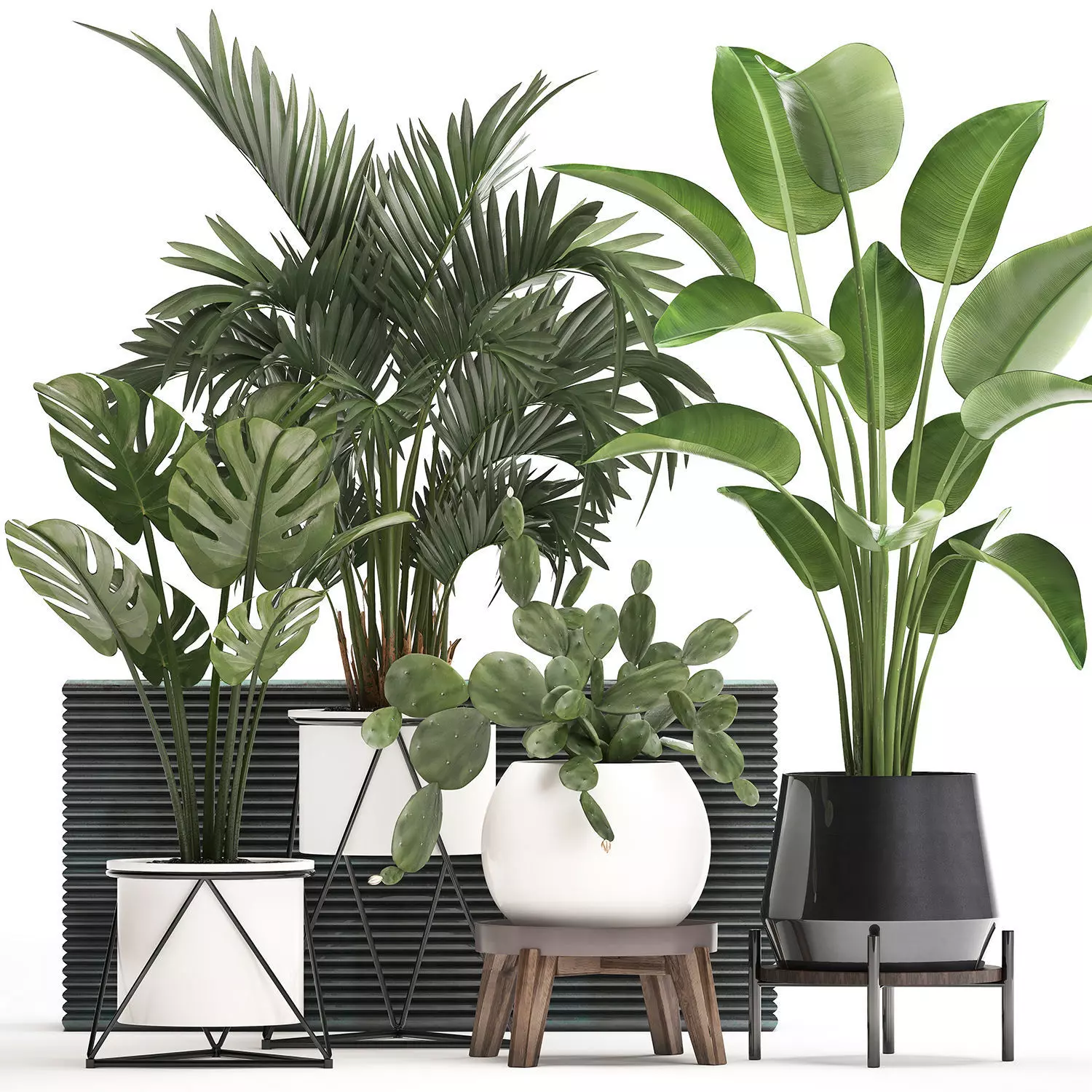 Collection Exotic plants in a pot 448 3D model