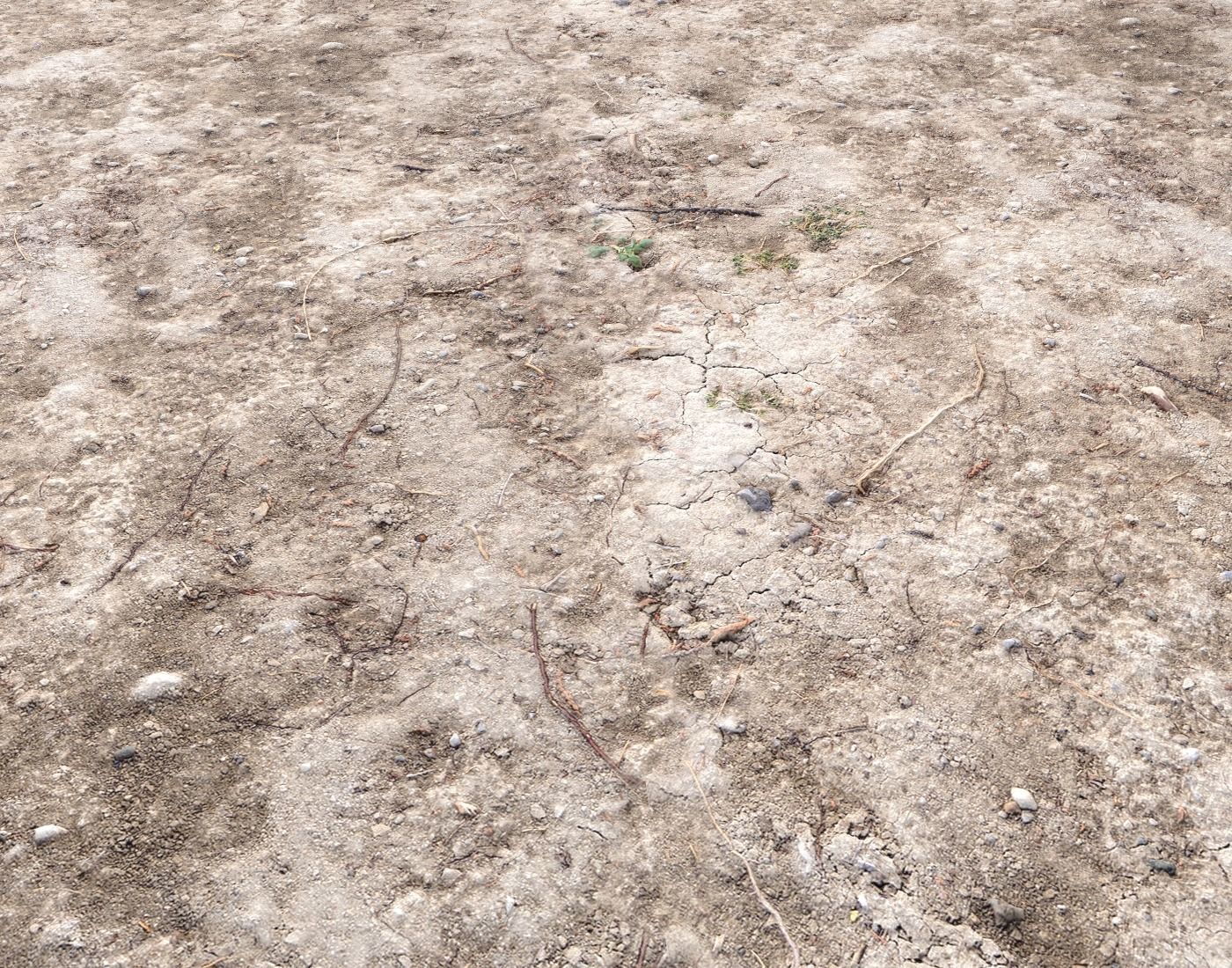 Arid Wasteland ground PBR Pack 1 Texture_11
