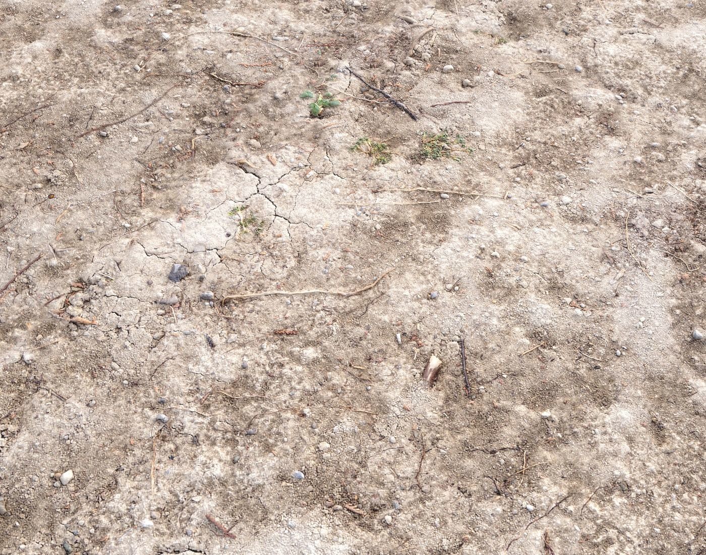 Arid Wasteland ground PBR Pack 1 Texture_9