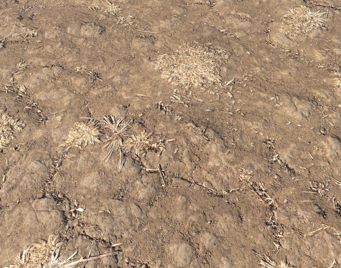 Arid Wasteland ground PBR Pack 1 Texture_20