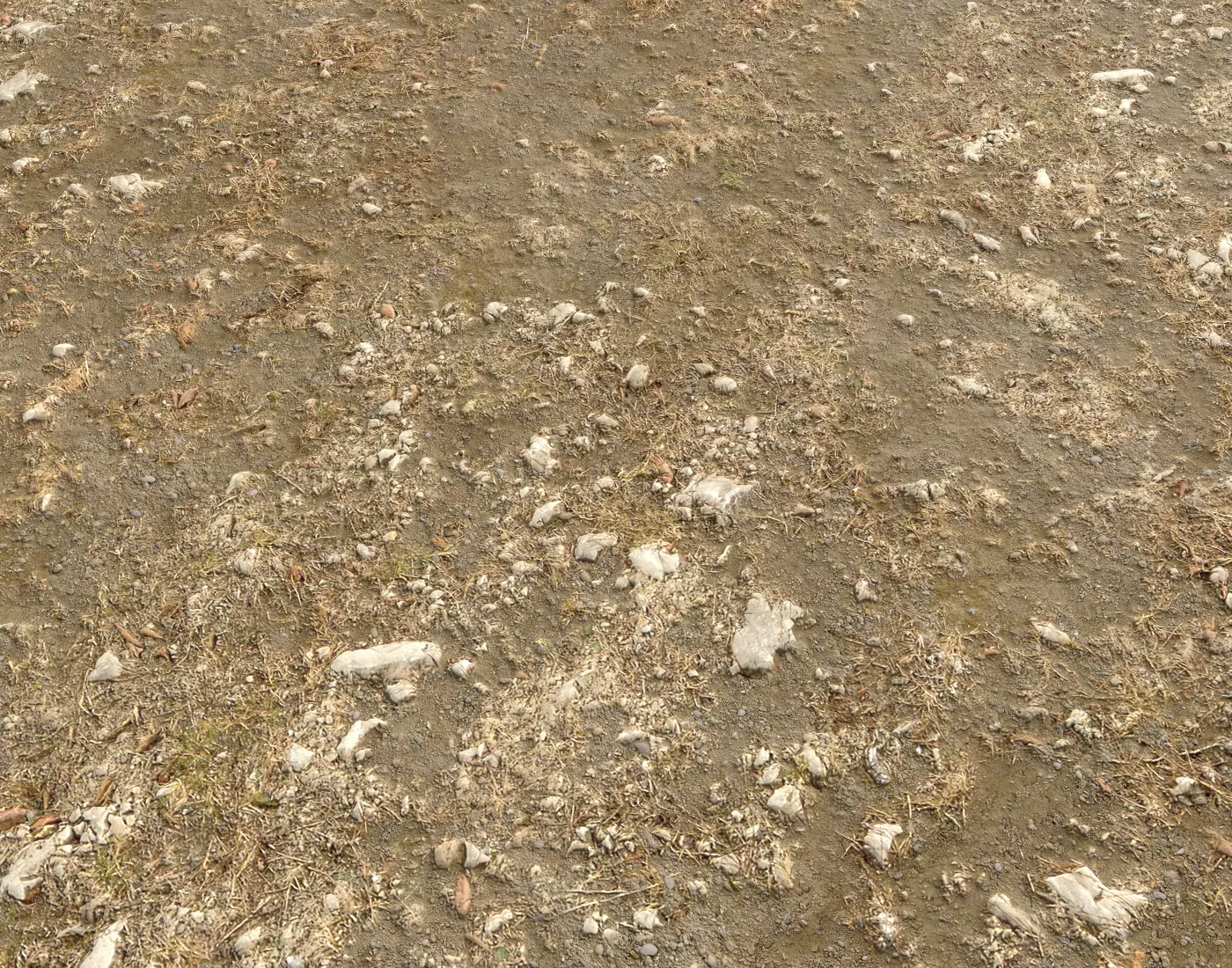 Arid Wasteland ground PBR Pack 1 Texture_0