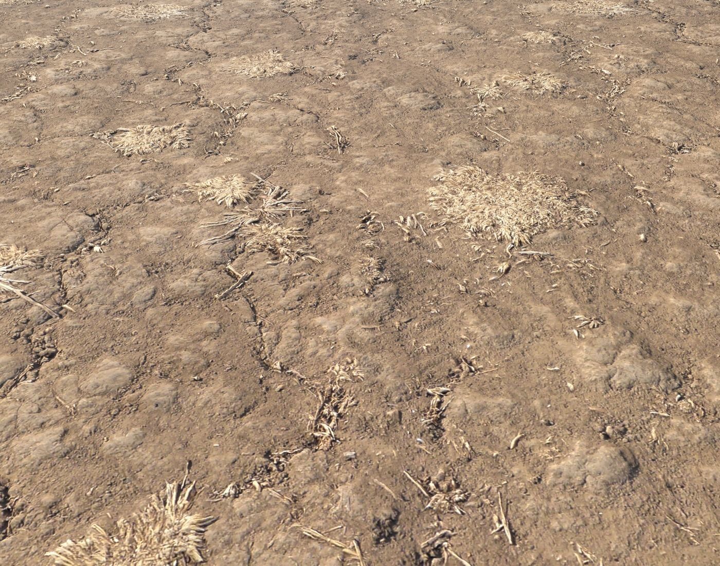 Arid Wasteland ground PBR Pack 1 Texture_19