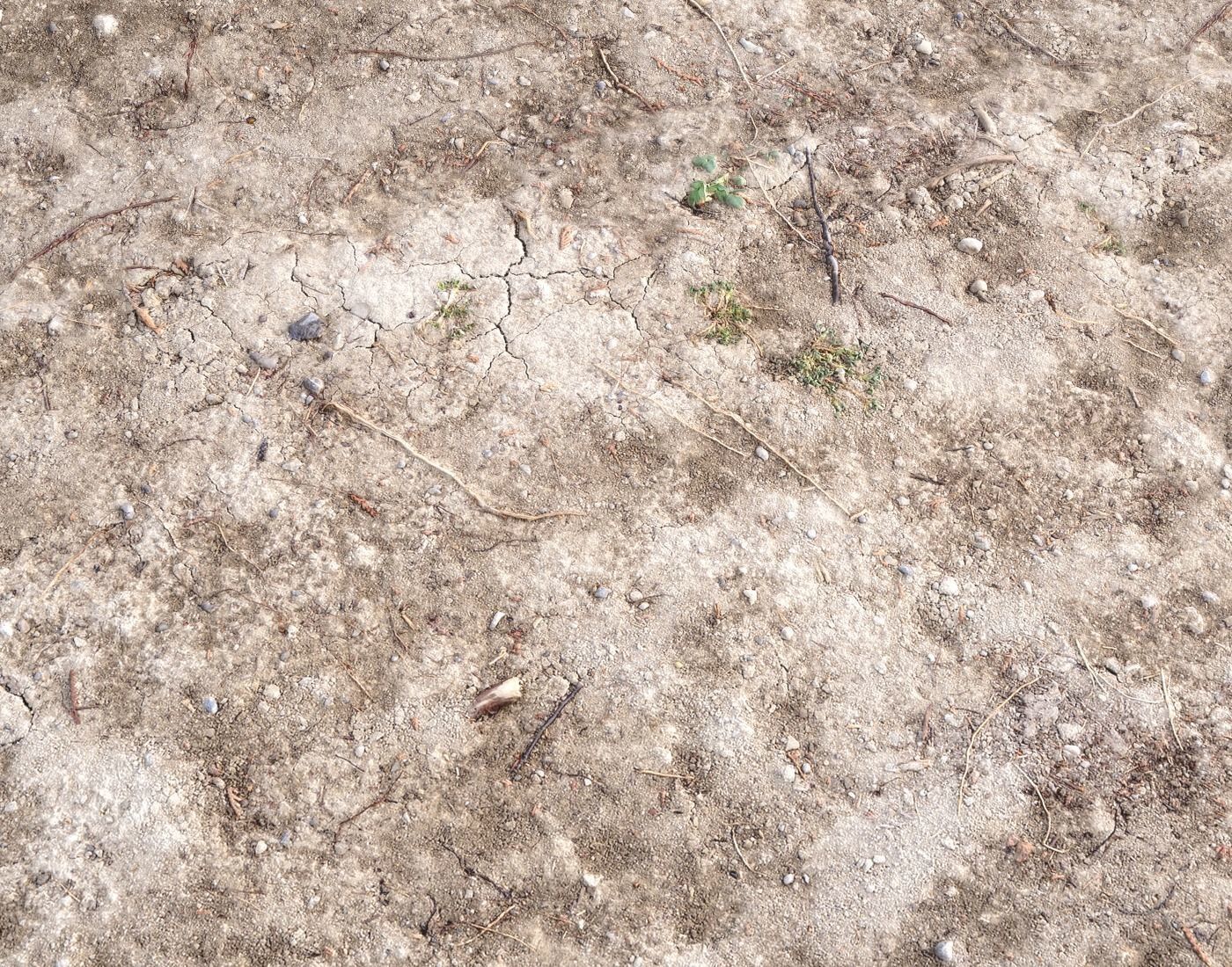 Arid Wasteland ground PBR Pack 1 Texture_10