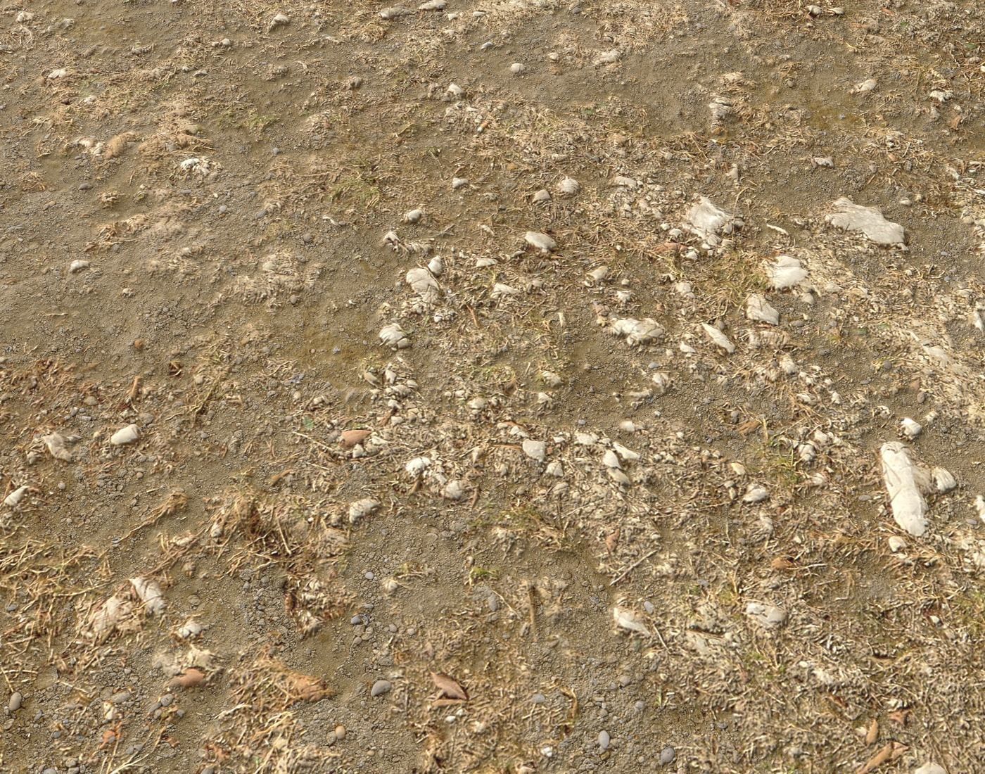 Arid Wasteland ground PBR Pack 1 Texture_8